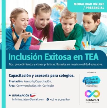 Inclusión- de niños con TEA o CEA en el Colegio.